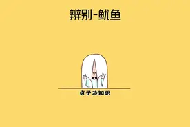 你喝过鱿鱼的墨汁吗？？ #涨知识视频封面