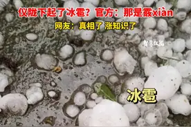 仪陇下起了冰雹？官方：那是霰xiàn  #冰雹  #霰 视频封面
