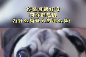 为什么有些人的脚特别臭？#科普知识 视频封面