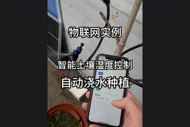 物联网远程智能控制的成本到底能有多低？ 自制了一套物联网远程智能控制给植物浇水的设备，没想到价值百万的设备成本居然这么低？#科技  #单片机 #手工 #村里的阿彪