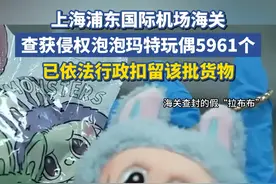 上海浦东国际机场海关，查获侵权泡泡玛特玩偶5961个，已依法行政扣留该批货物。视频封面
