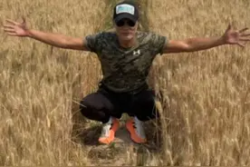 70岁任达华回山东老家收麦子，被赞干起活来不输年轻人，曾称“我出生在香港 但根在山东”#大象主播说 @峰仔