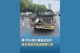 4月12日江西南昌，男子和同伴钓2条大鳡鱼近百斤，挂车尾到市区炫耀2小时，当事人：开着车专门往人多的地方去视频封面