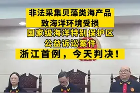 非法采集贝藻类海产品，致海洋环境受损——浙江省首例国家级海洋特别保护区公益诉讼案件，今天判了！视频封面