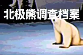 Polar Bear 29.09.2026（北极熊调查档案) #2026北极熊 #恐怖故事
