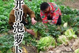 自制开胃泡萝卜，头天泡第二天就能吃，又酸爽又解腻，做法非常简单！#农村美食 #乡村味道 #乡村田园生活