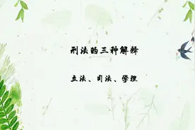 刑法的三种解释详解~（立法、司法、学理）#刑法解释 #司法解释视频封面