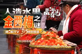 #人造水果金西梅之谜 街头贩卖的金西梅，究竟是什么东西做的视频封面
