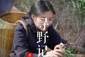 春天就是要吃野菜呀，看看这些野菜你都吃过吗#野菜#尝一口春天的味道#乡野春日地图#内容启发搜索#大自然的馈赠视频封面