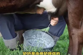 奶中之王：驴奶视频封面