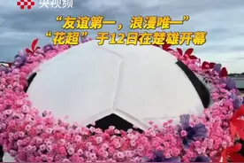 “友谊第一，浪漫唯一”，“花超”于12日在楚雄开幕。
