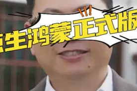 原生鸿蒙正式版要来了 手机形态不重要，重要的是：
1视频封面