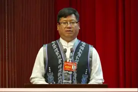 州长陈真永作政府工作报告 #聚焦2025大理州两会视频封面