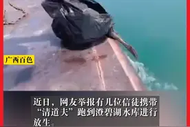 #往百色澄碧湖投放清道夫的男子致歉  有网友在当地论坛发帖称，有人往澄碧湖里投放清道夫。9月10日，百色市农业执法综合行政支队在公安部门配合下找到3名放鱼者。当事人致歉：配合相关部门进行挽救。