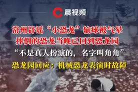 常州辟谣“小恐龙”输球被气晕，“不是真人扮演的，名字叫角角”，恐龙园回应：机械恐龙表演时故障#常州 #恐龙 #苏超