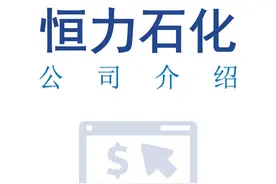 恒力石化 公司介绍 #恒力石化 #上市公司介绍 #上市公司调研视频封面
