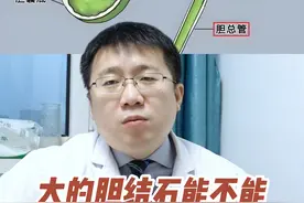 大的胆结石能不能排石或溶石？ #胆结石 #胆结石排石 #胆结石胆囊炎 #胆囊结石微创手术视频封面
