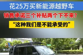 【买电车开启自驾之旅，困在眼前“补贴”？】上个月，李师傅买了一辆新能源越野车，想的是能跑各地看看，丰富生活。不过眼下，他在琢磨一个很实际的问题：补贴。#1818黄金眼 #浙江dou知道 #媒体精选计划  #补贴 #越野车视频封面