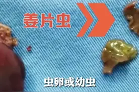 荸荠不可生吃，小心寄生虫！#科普 #三农小知识 @抖音青少年 视频封面