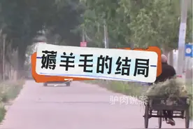 河南省开封市，薅羊毛的结局 #真实案例 #案件解说 #案件故事视频封面