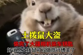 偷完了大疆相机偷车钥匙，土拨鼠准备做自驾旅行博主了 #土拨鼠 #车钥匙 #大疆相机