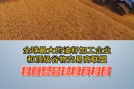 新的粮食巨头即将诞生！邦吉斥资82亿美元收购维特拉。#四大粮商 #粮食 #三农 @DOU+小助手