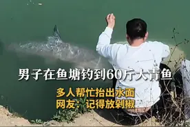 男子在鱼塘钓到60斤大青鱼 多人帮忙抬出水面 网友：记得放剁椒#钓鱼名场面 #钓鱼视频封面