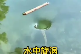 湖中的旋涡看似好玩但也危险 #热点 #旋涡 #有趣 #科普视频封面