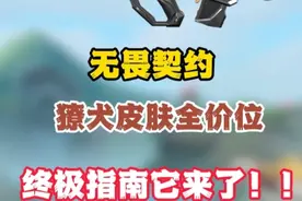 无畏契约獠犬皮肤全价位终极指南它来了！！ #无畏契约 #瓦学弟