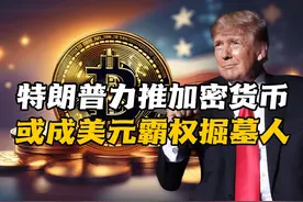 特朗普力推加密货币，或成美元霸权“掘墓人”！美经济有何新变局视频封面