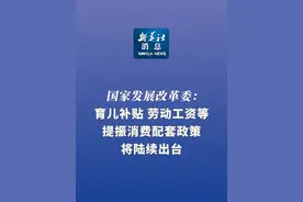 新华社消息｜国家发展改革委：育儿补贴、劳动工资等提振消费配套政策将陆续出台视频封面