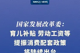 新华社消息｜国家发展改革委：育儿补贴、劳动工资等提振消费配套政策将陆续出台视频封面