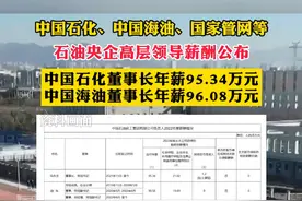 中国石化、中国海油、国家管网等石油央企高层领导薪酬公布视频封面