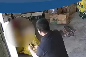 #蛇怕热窜进商店老板徒手抓蛇狂甩 #江西dou知道 #蛇 #商店 #徒手抓蛇