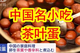 【中日双语】东京成田机场海关检疫实录视频封面