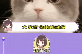 大家宿舍的小动物，是怎么被发现的 ？#宿舍 #宠物视频封面