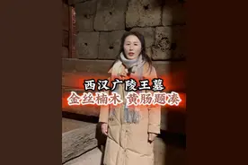 规模最大，保存最完好的汉代黄肠题凑墓#扬州旅游  #广陵王  #历史人物  #旅行推荐官视频封面