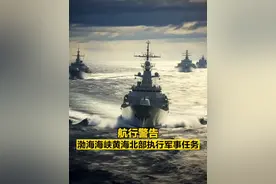 【航行警告！#渤海海峡黄海北部执行军事任务  】据中国海事局网站消息，大连海事局发布航行警告，8月4日16时至8月11日16时，渤海海峡黄海北部部分海域执行军事任务，禁止驶入。 （央视军事）视频封面
