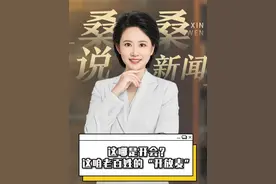 这哪是开会？这咱老百姓的“开放麦”#2025全国两会 #雷军建议优化新能源车牌设计视频封面