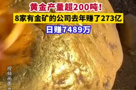 黄金产量超200吨！8家有金矿的公司去年赚了273亿，日赚7489万#金融界每日热点 #与财同行 #财经快讯视频封面