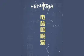 十万个梗百科：电脑眠眠猫 #电脑眠眠猫 #萌系 #可爱视频封面
