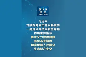 新华社消息｜习近平对陕西商洛市柞水县境内一高速公路桥梁发生垮塌作出重要指示 要求全力抢险救援　强化巡查排险 切实保障人民群众生命财产安全视频封面