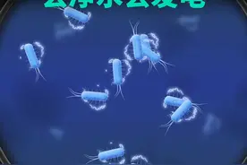 把大肠杆菌放进废水里，它竟然能一边净化一边发电？吸进去的是废料，吐出来的是电流，简直是细菌界的劳模！
#大肠杆菌  #细菌  #微生物  #黑科技  #知识科普