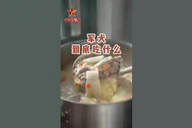 看了战士们伙食，听说网友们还想看军犬到底吃些啥？这不，军号给你安排上了——#食堂 #炊事班 #军营伙食连续剧 #神犬来了 （作者：汉阳 伊铭 修钰 魏然 慧敏 文涛）