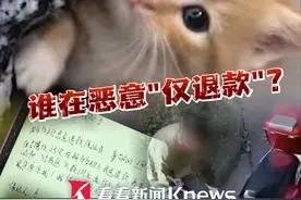“同学说可以，平台也支持” #小学生220元网购宠物猫以“没收到货”为由成功申请“仅退款”  卖家驱车300公里讨说法，发现“猫被养得特别好” #仅退款视频封面