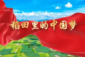 《稻田里的中国梦》少儿朗诵演讲舞台表演LED背景音乐视频视频封面