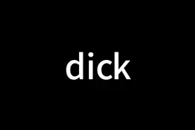 你所不知道的dick #横扫2万单词 #象形英语 #dick #dictionary