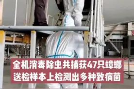 此次发现的#蟑螂体表携带的嗜麦芽寡养单胞菌、赫氏埃希菌，危害不容忽视！为厦门海关点赞！视频封面