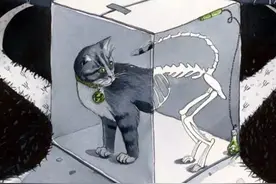 物理学四大神兽之薛定谔的猫，到底蕴含了什么样的秘密？#薛定谔的猫 #烧脑 #物理 #涨知识 视频封面