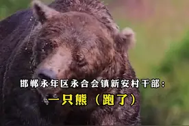 #官方证实邯郸一动物园有熊出逃 ，目前已暂时闭园，当地回应：昨日出逃，正全力搜寻，暂无群众因此事受伤，#目前不清楚这头熊大致的逃跑范围和方向视频封面